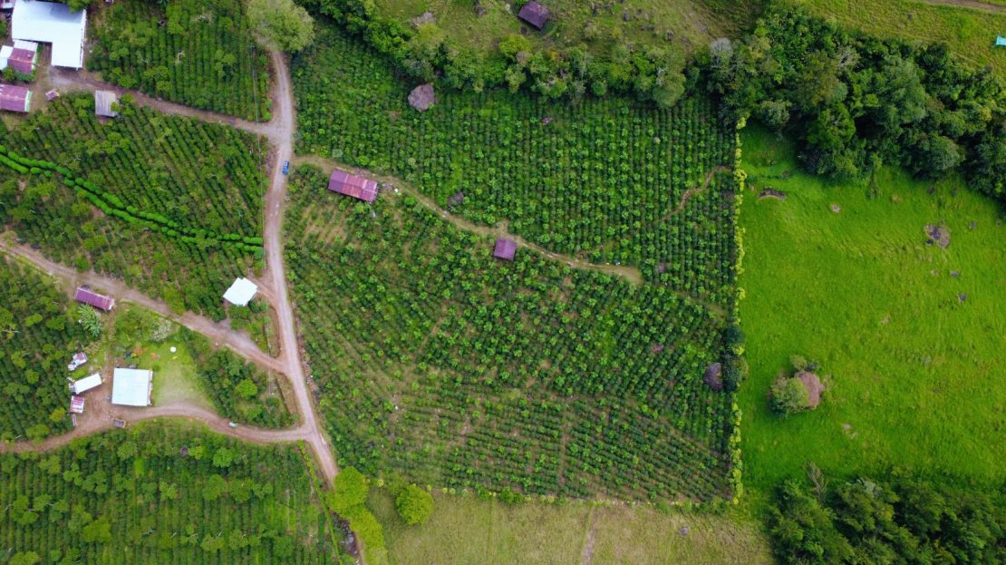 Costa Rica Real Estate