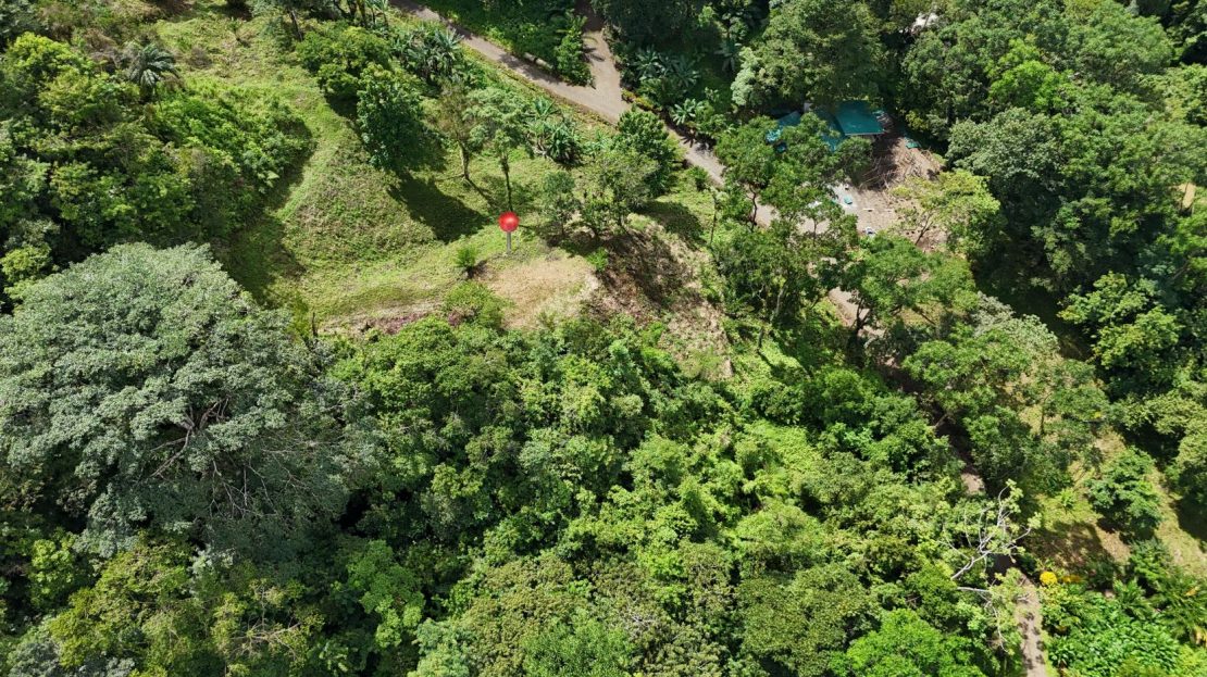 Only 30 minutes to Quepos center - a large ready-to-build lot with waterfall and jungle views