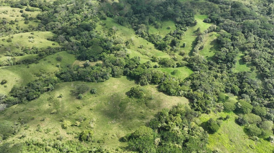 Costa Rica Real Estate