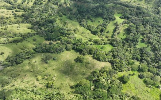 37ha Property near Year-Round River – Rio Blanco, Nandayure