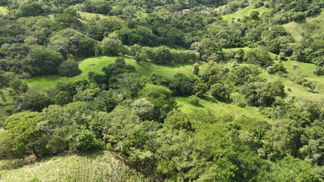 37ha Property near Year-Round River – Rio Blanco