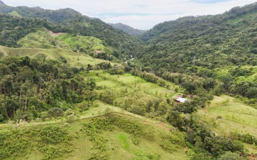 Beautiful farm for sale in the heart of San Miguel de Quepos