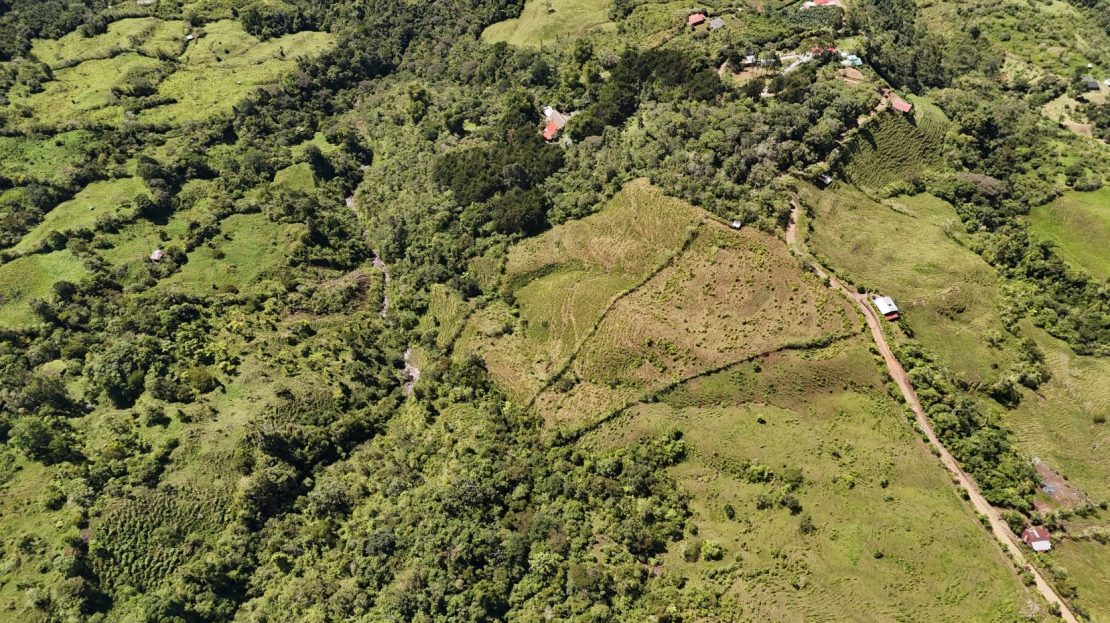 Love Vision & Altitude