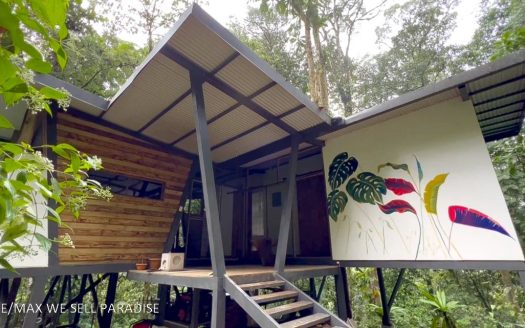 Finca BellaVista – Fully Immersive Experience In The Deep Rainforest Of Southern Costa Rica!