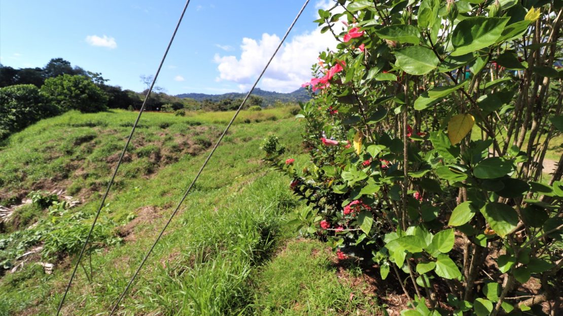 Costa Rica Real Estate