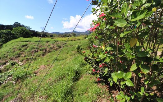 Large Mountain View Lot