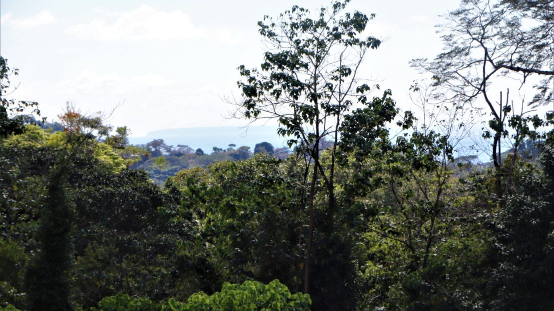 Large Mountain View Lot