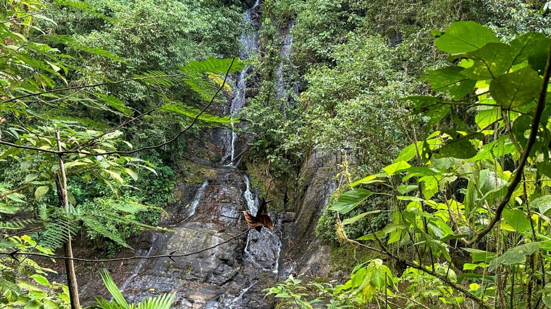 River & Waterfall Property With a BRAND-NEW Jungle-View Luxury Home