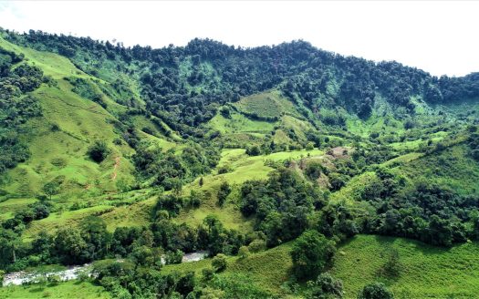 204 Acre Expansive and Remote Paradise!