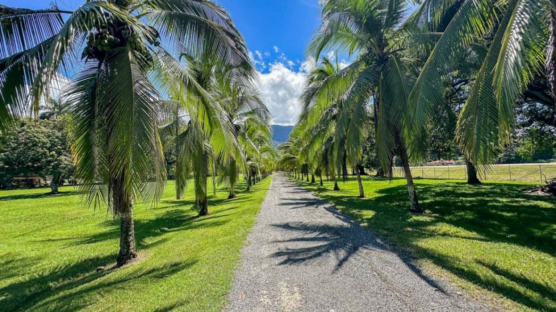 Prime 13.4-Acre Development Land In Osa