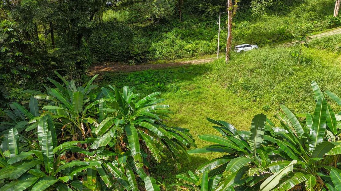 Large Jungle Lot for Sale in Ojochal Costa Rica