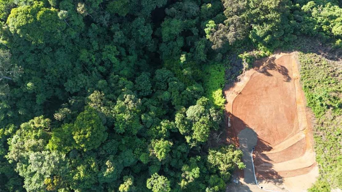 immaculately prepared