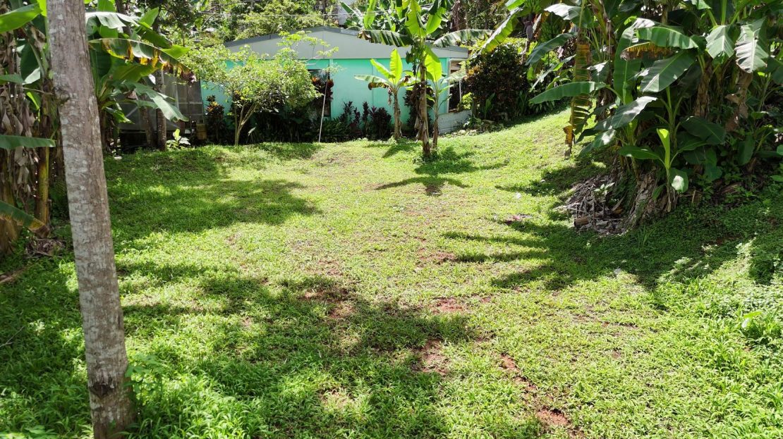 Exclusive & Rare Opportunity: Build Your Dream Home on This Stunning 663 m² Lot Near Downtown!