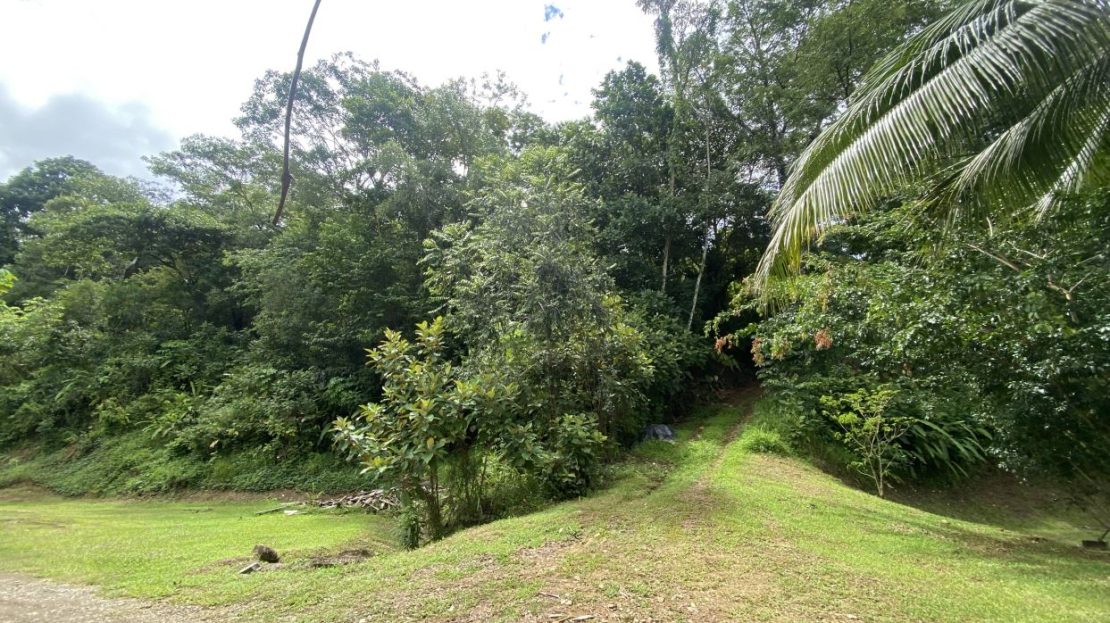 Costa Rica Real Estate