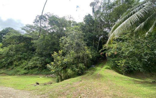 2.86ac Ready-to-Build Lot in Ojochal