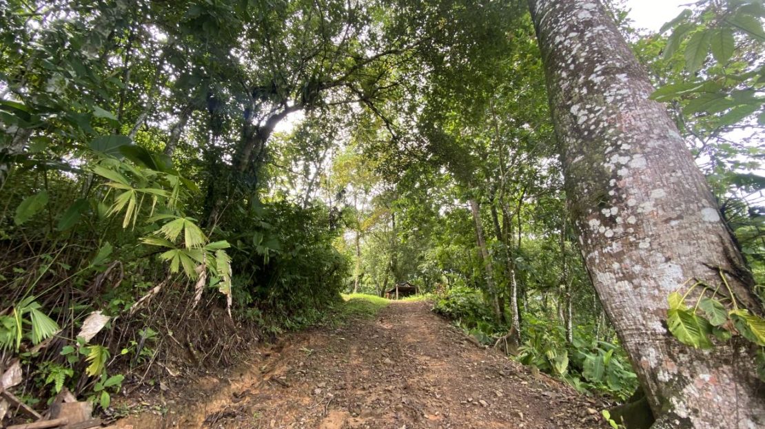 2.86ac Ready-to-Build Lot in Ojochal