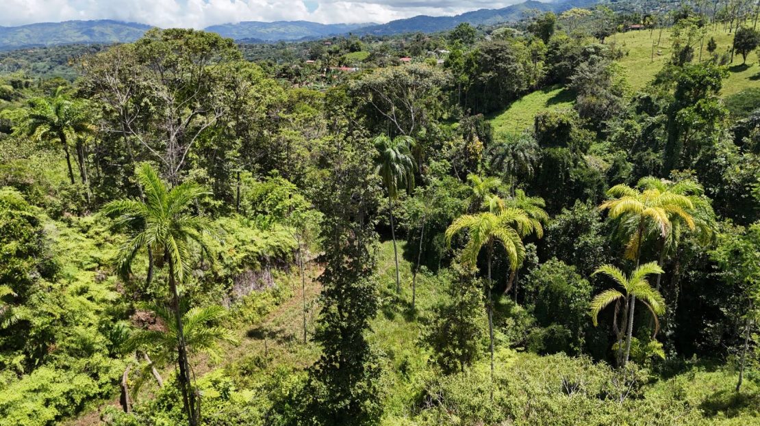 For Sale Scenic 4-Ha Farm For Sale With Creeks And Beautiful Valley Views