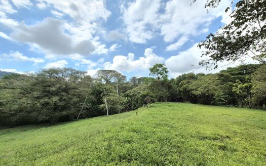 Spacious 1.84-Acre Build-Ready Lot in a Peaceful Gated Community Near Atenas