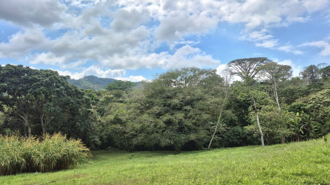 Spacious 1.84-Acre Build-Ready Lot in a Peaceful Gated Community Near Atenas