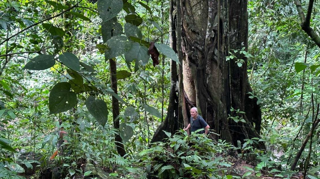 river and waterfall areas.