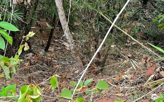 Secluded 1.25-Acre Lot with Creek Frontage