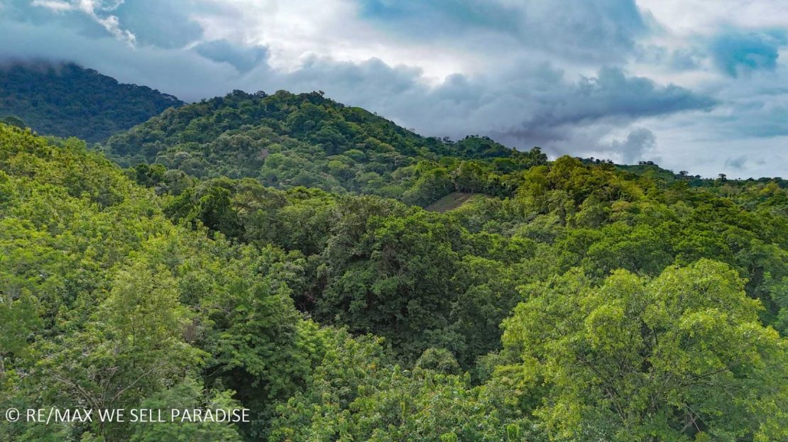 177 acre Ocean view property with multiple plantels