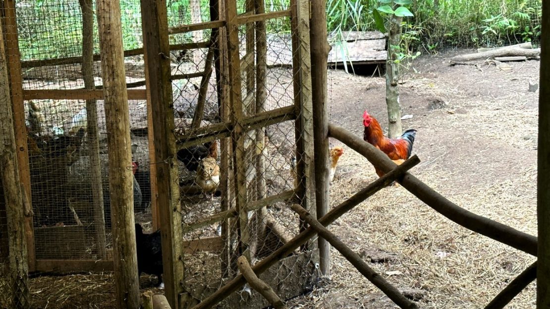 23 Hectares Permaculture Farm