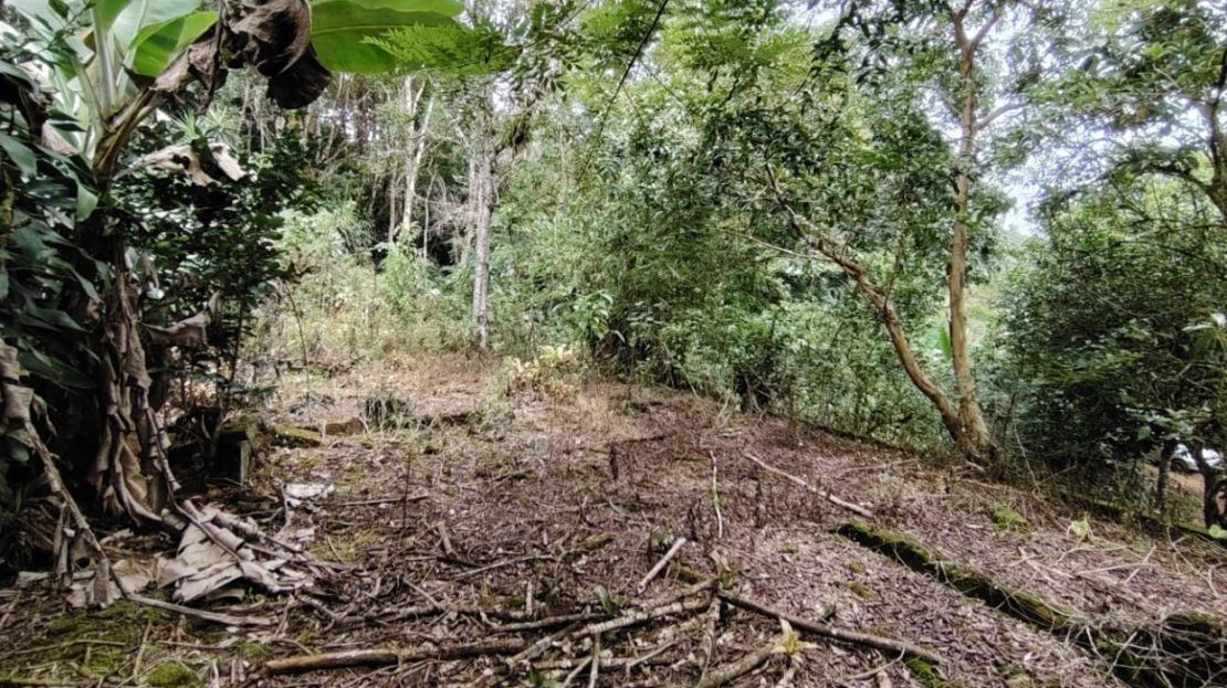 Costa Rica Real Estate