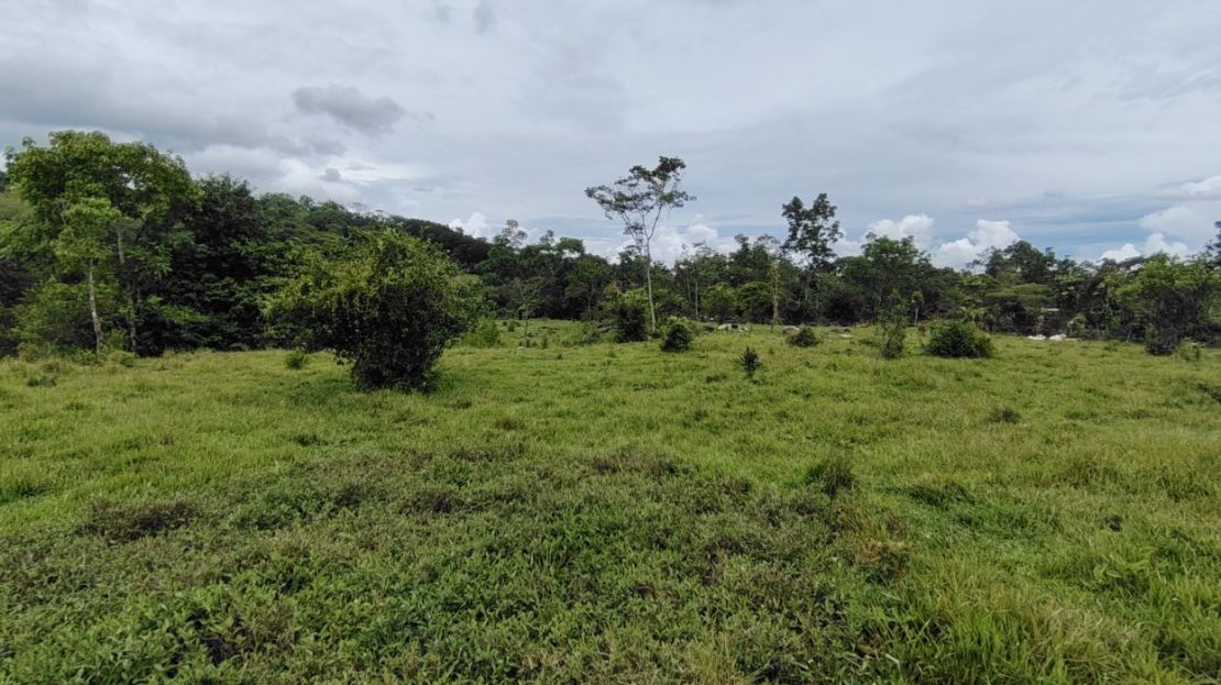 Ideal for Any Project