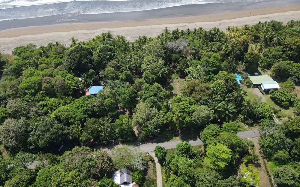 Stunning Beachfront Land for Sale in Matapalo Beach