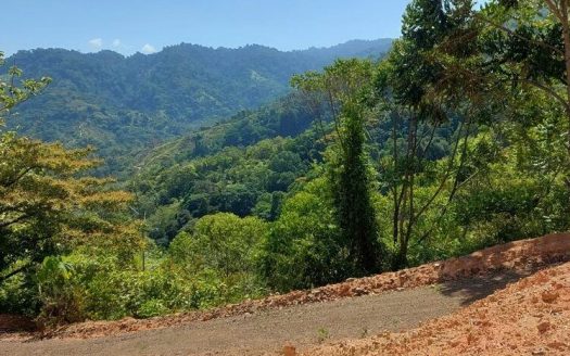 Peaceful Countryside Paradise at an Unbeatable Price