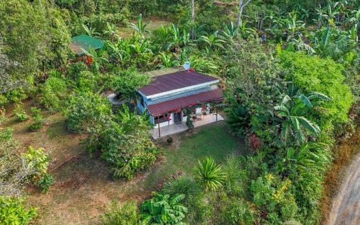 A serene 4-acre property invites with a 1-bedroom home, covered yoga studio, large carport and several plantels