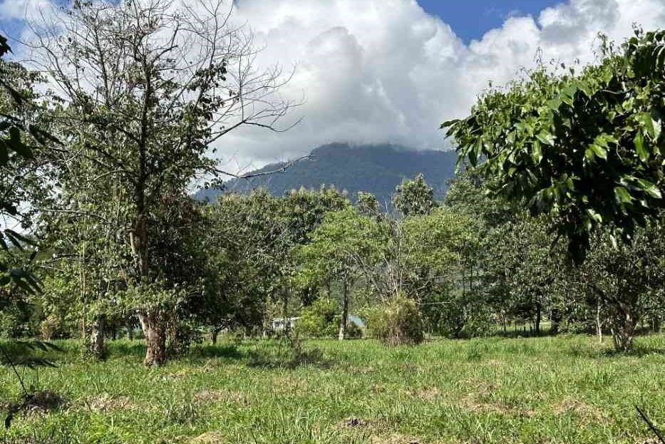 Ready for Development!