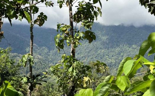 Over 3 Acres, Mountain View Lot in the Heart of Ojochal, Ready for Development!