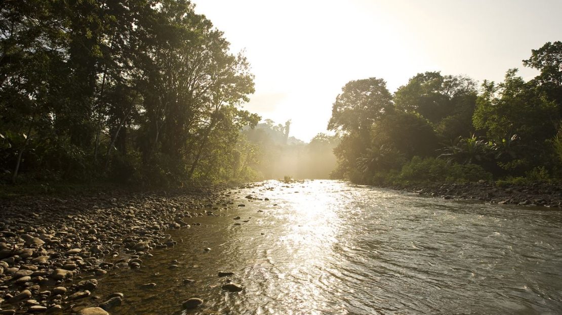 Parcel C – 25 Segregated Riverfront Lots at the Entrance of the Estate