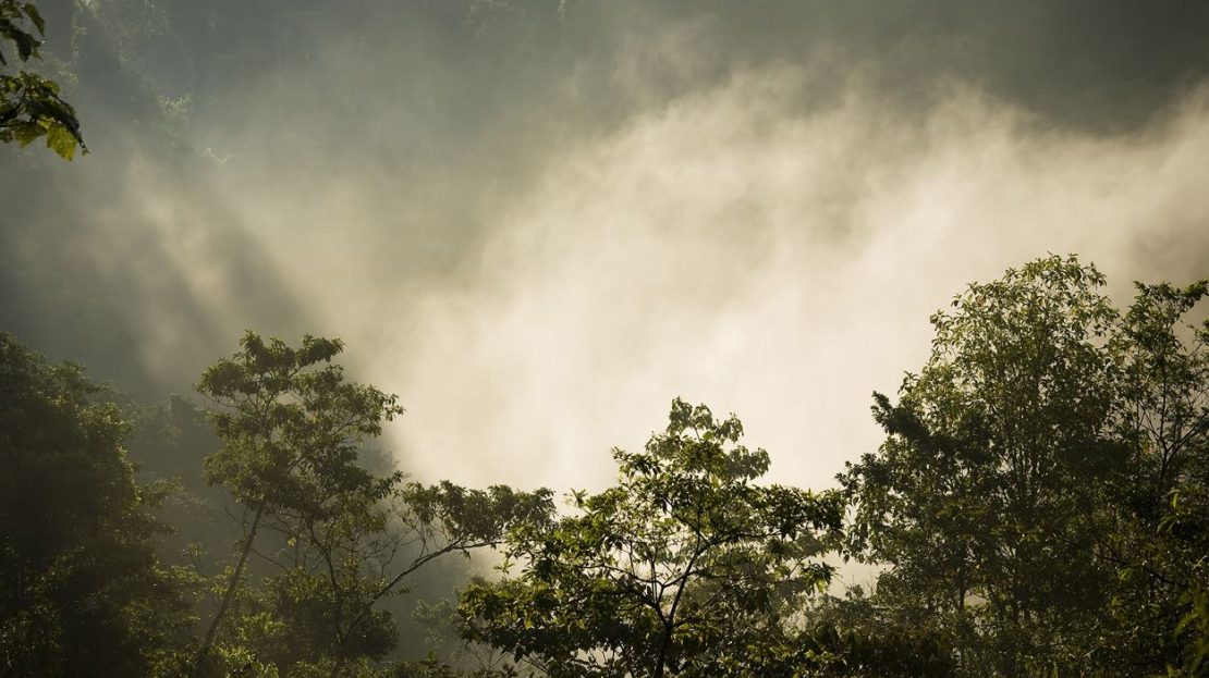 Costa Rica Real Estate