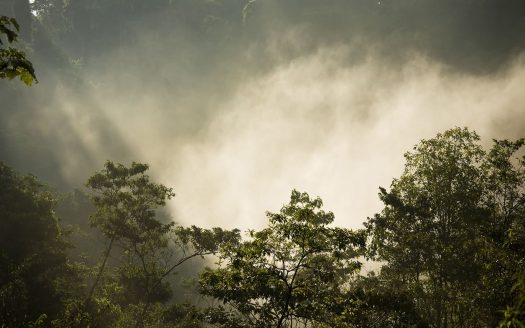 Parcel C – 25 Segregated Riverfront Lots at the Entrance of the Estate