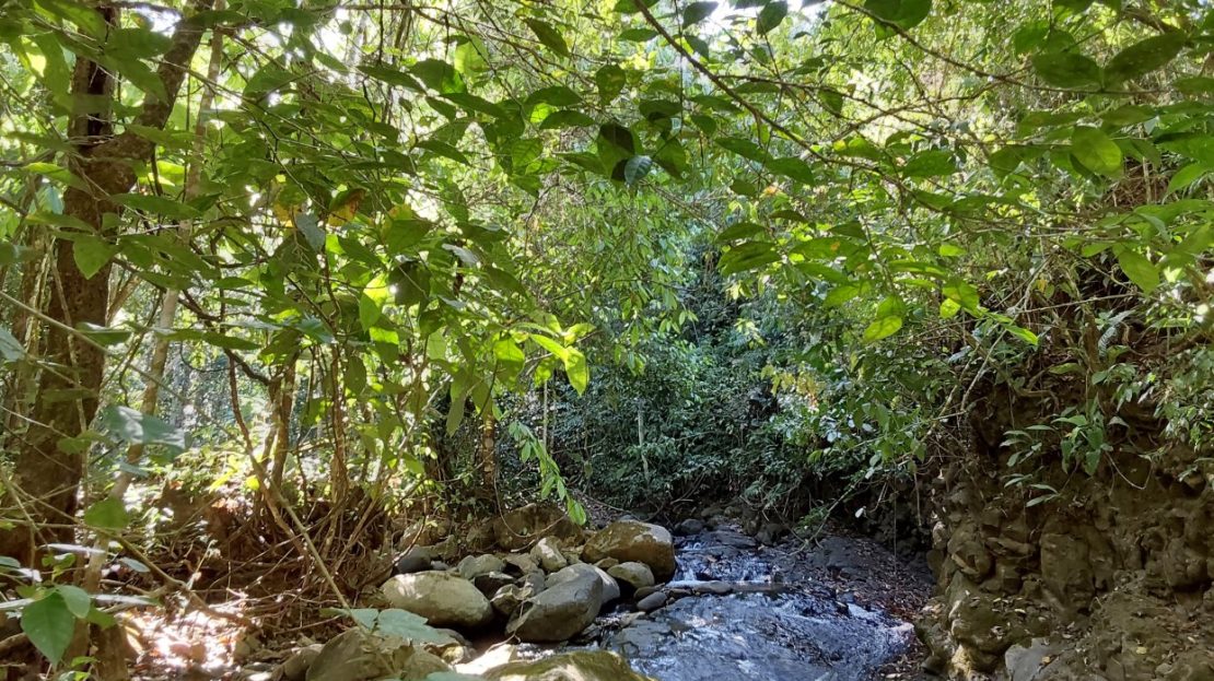 Costa Rica Real Estate