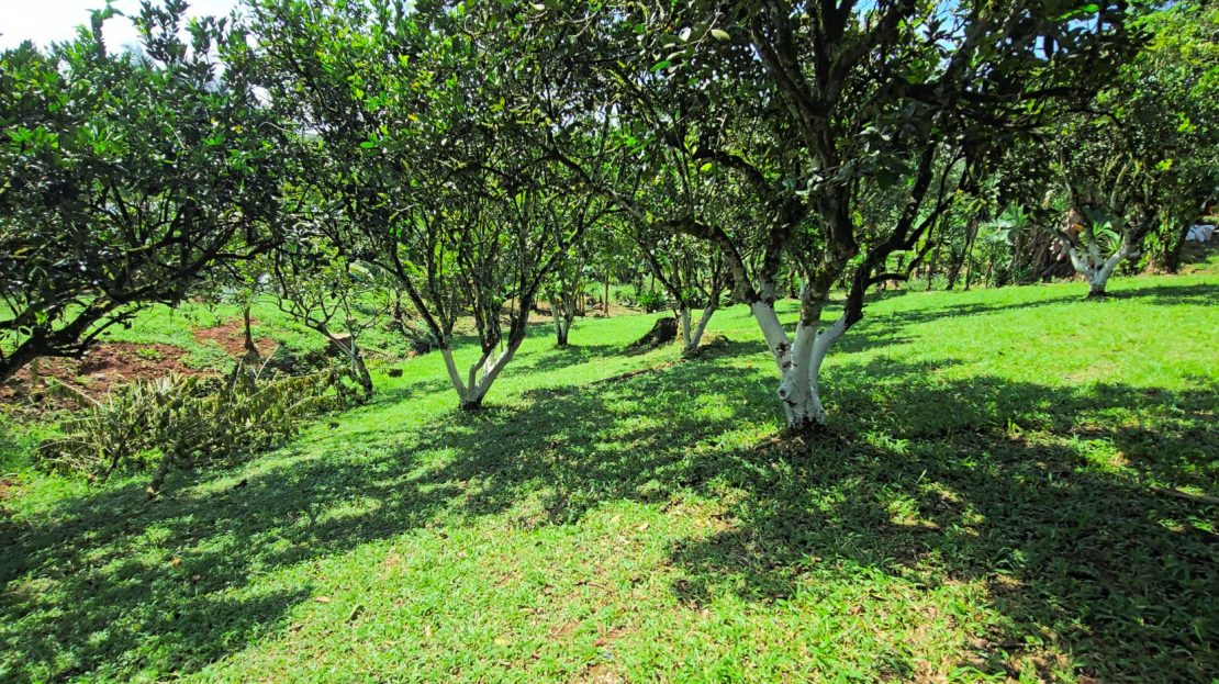 Stunning Lot For Sale In The Heart Of Cajón