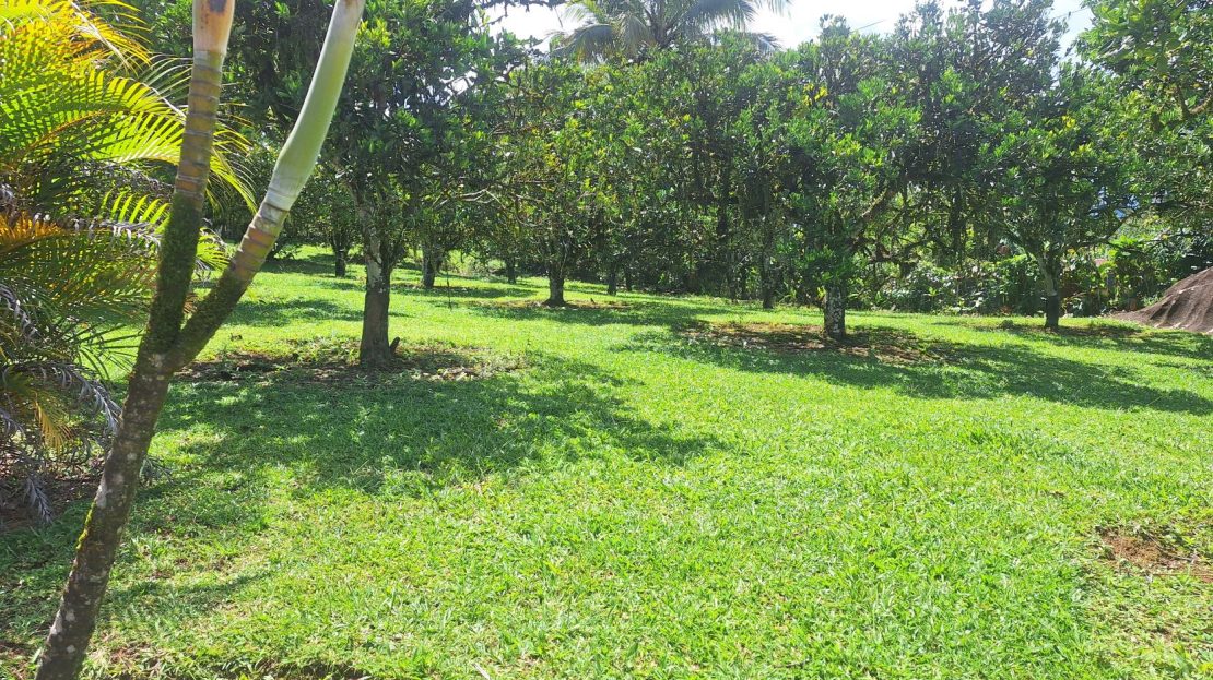 Unlock The Potential Of This Charming Property With Organic Farming Opportunities In San Pedrito De Cajón