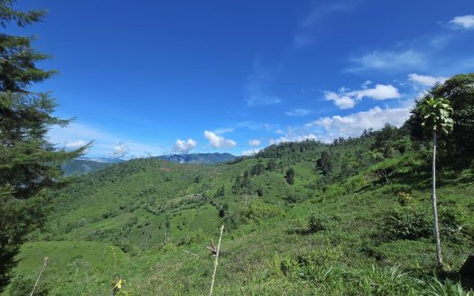 High-Altitude Cabin For Sale – Stunning Views & Immersive Great Nature Above 1,500 Masl