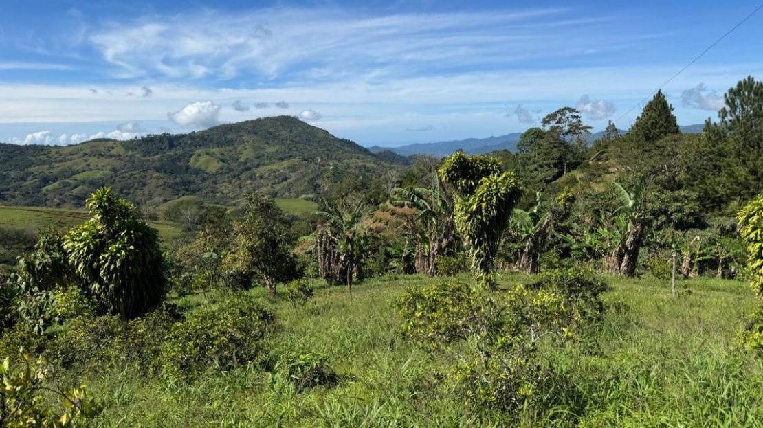 Costa Rica Real Estate