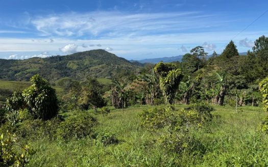 Mountain Farm with Oranges, Coffee & Partial Ocean Views – Nicoya Peninsula