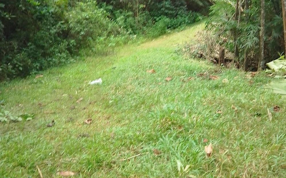 Secluded 1.25-Acre Lot with Creek Frontage