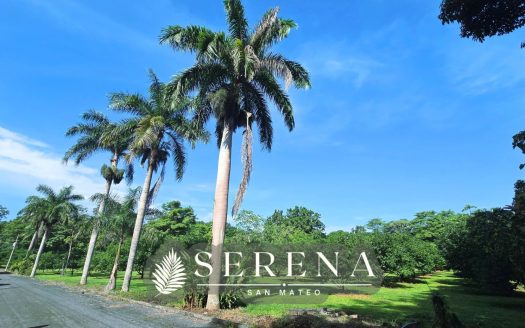 Spacious Lot for sale in SERENA San Mateo – Riverfront Lifestyle