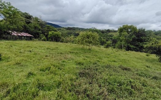 Great Chirripó View Property For Sale – 1ha Flat Land with Spring, Ideal for Any Project