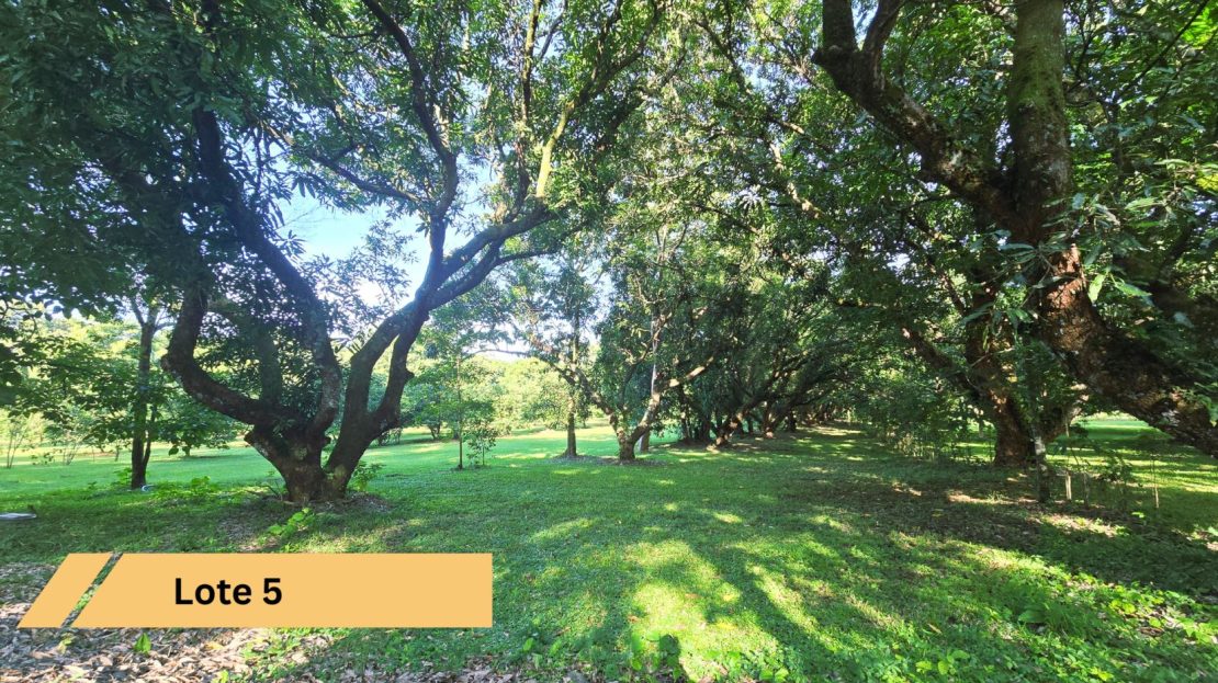 Costa Rica Real Estate