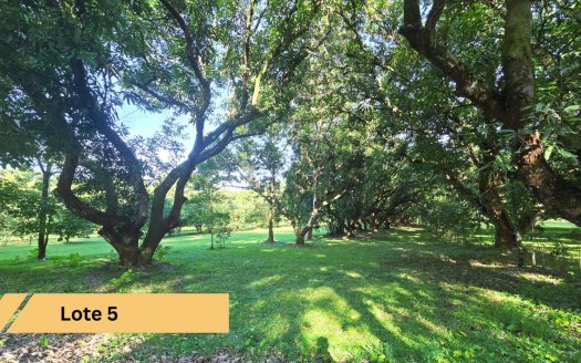 Fantastic Flat lots for sale in SERENA SAN MATEO – New Community