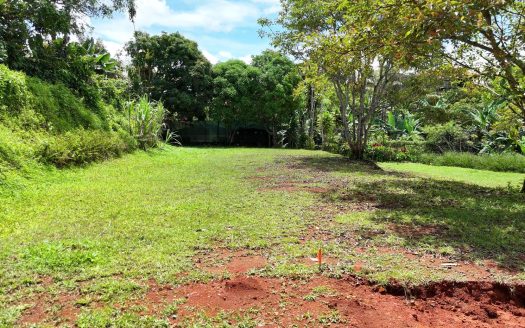Exclusive & Rare Opportunity: Build Your Dream Home on This Stunning 575 m² Lot Near Downtown!