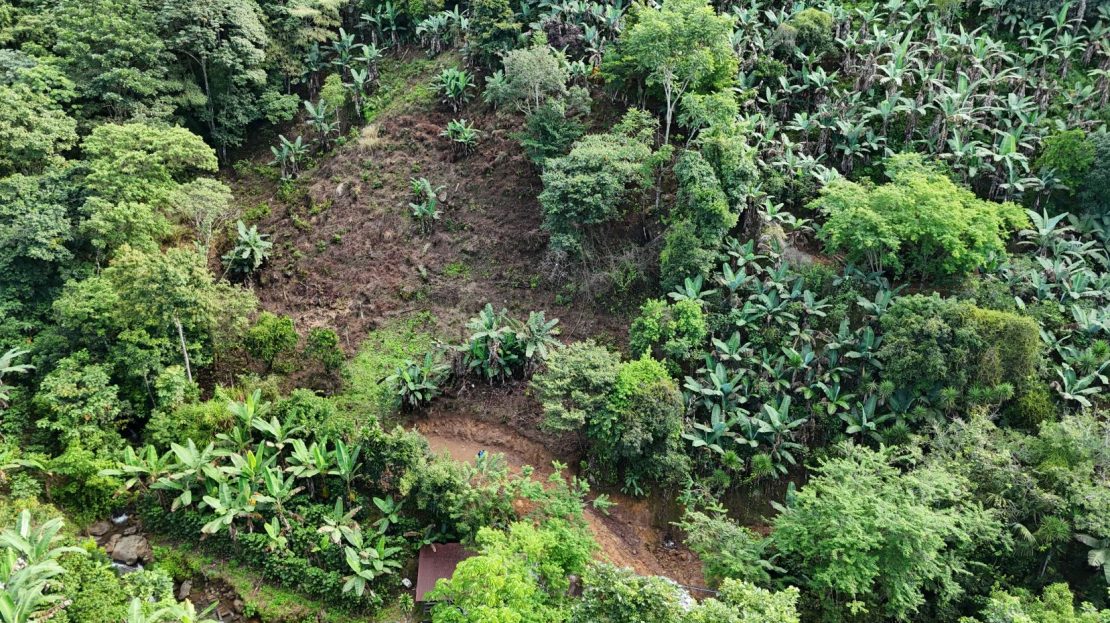 For Sale - Where The Water Is Born - Hidden Paradise With Vibrant Creek And Great Views In Rivas